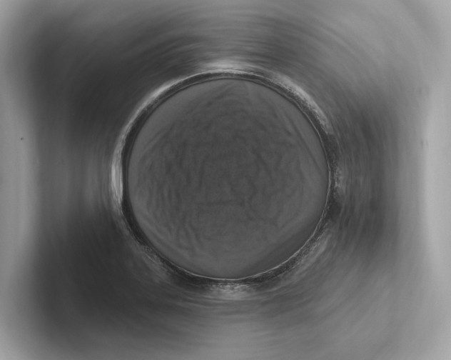 X0000100911323200807220942