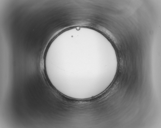 X0000100911324200807220942