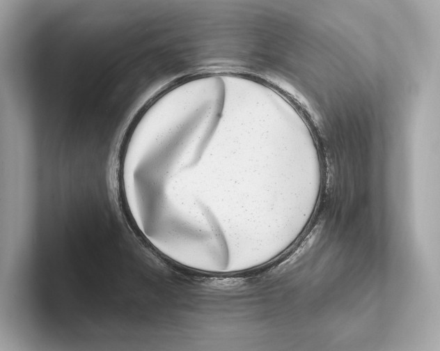 X0000100911325200807220942