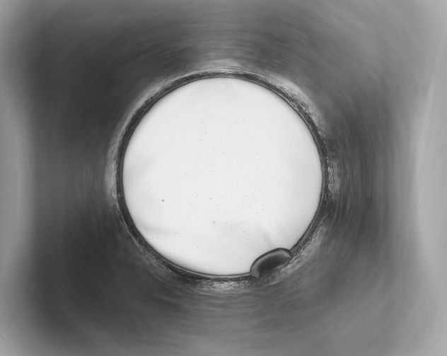 X0000100911326200807220942