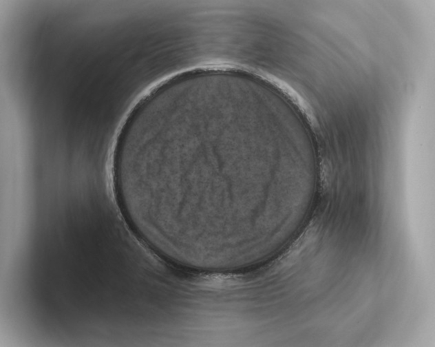 X0000100911327200807220942