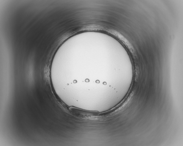 X0000100911329200807220942