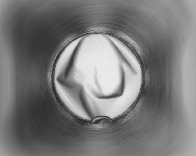 X0000100911330200807220942