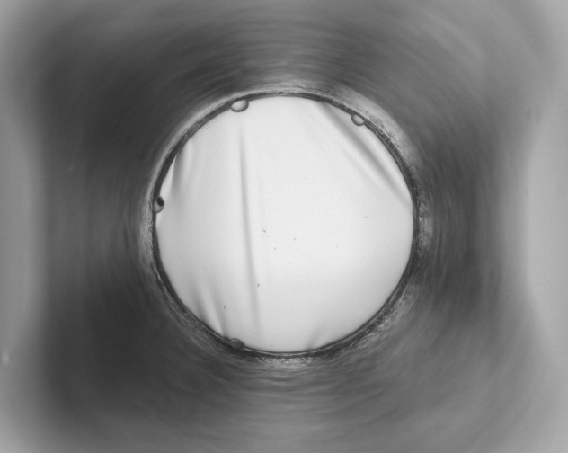 X0000100911332200807220942