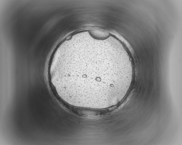 X0000100911333200807220942