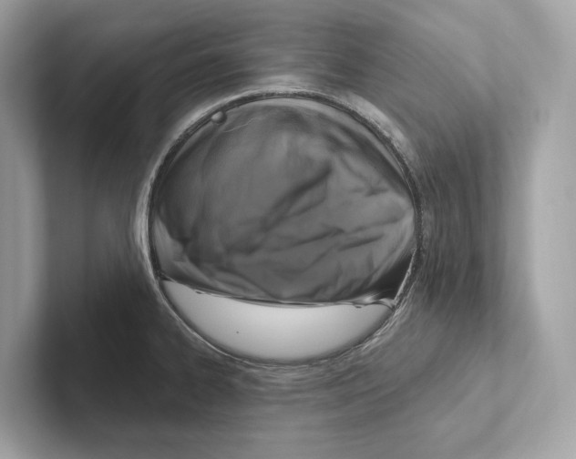 X0000100911334200807220943