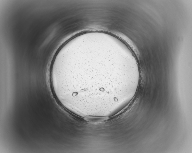 X0000100911335200807220943