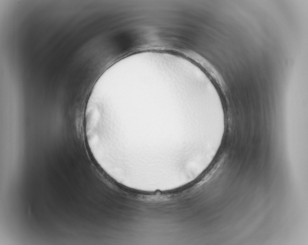 X0000100911337200807220943