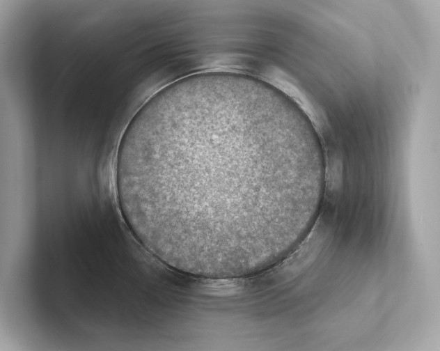 X0000100911338200807220943