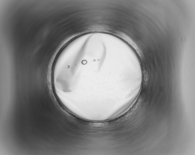 X0000100911339200807220943