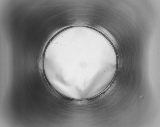 X0000100911340200807220943