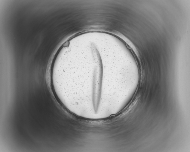 X0000100911341200807220943