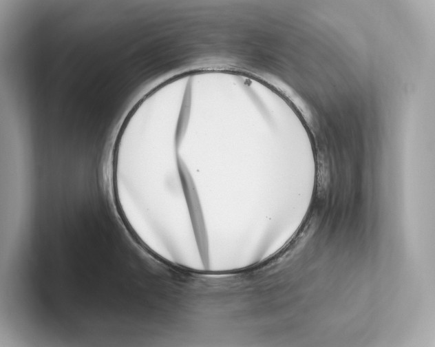 X0000100911343200807220943