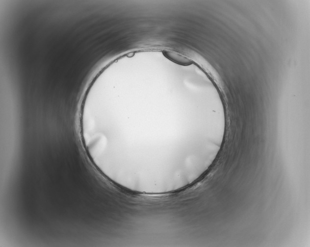 X0000100911344200807220943