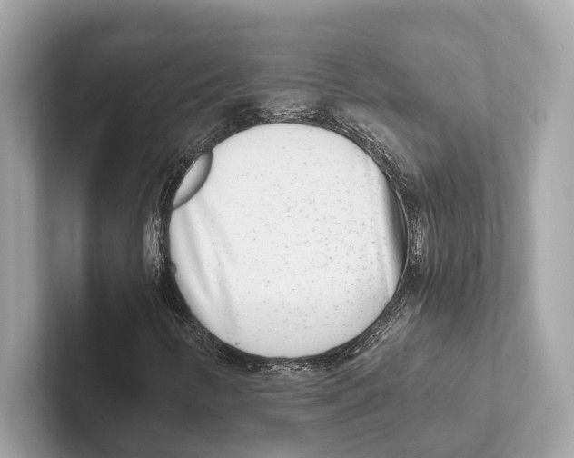 X0000100911346200807220942