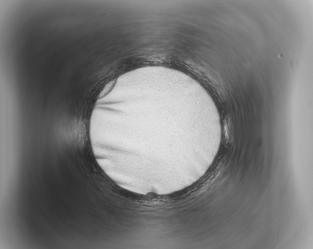 X0000100911347200807220942