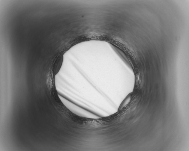 X0000100911348200807220942