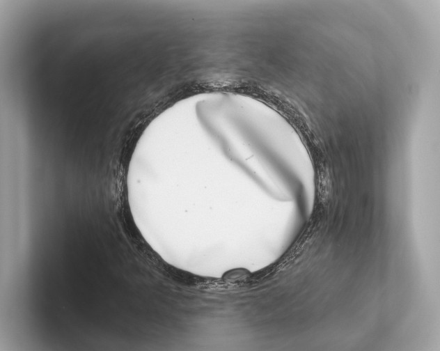 X0000100911349200807220942