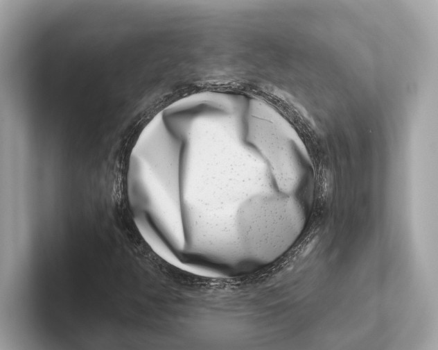 X0000100911350200807220942