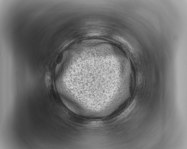 X0000100911353200807220942