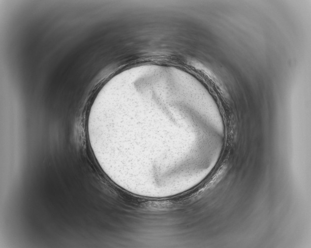 X0000100911354200807220942