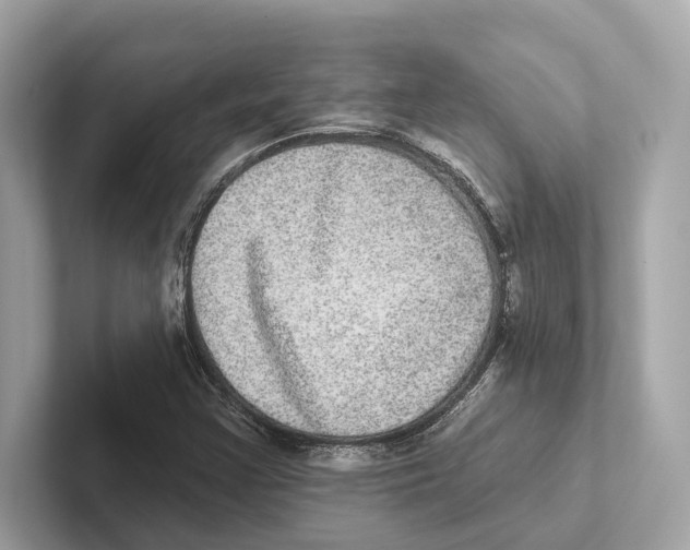 X0000100911355200807220942