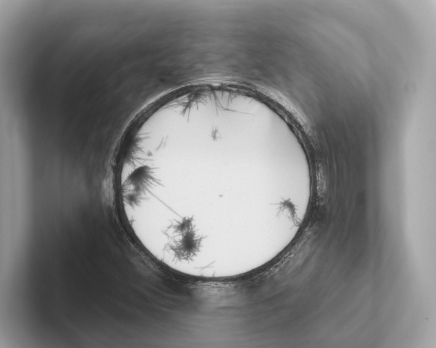 X0000100911356200807220942