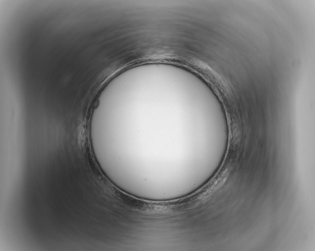 X0000100911361200807220942