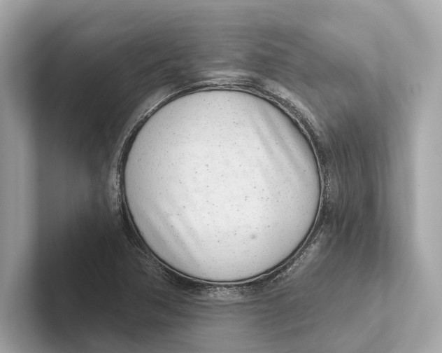 X0000100911362200807220942