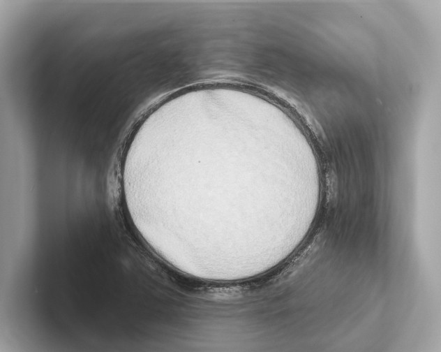 X0000100911363200807220942