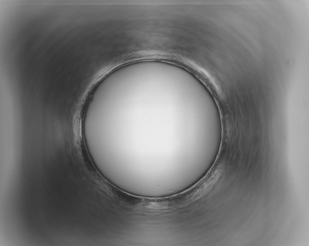 X0000100911365200807220942