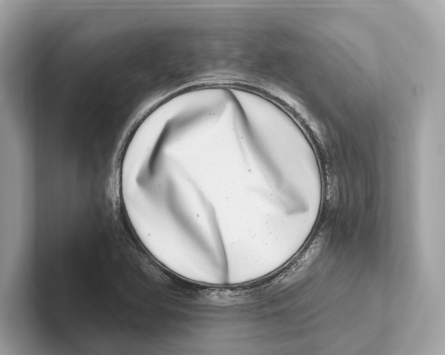 X0000100911366200807220942