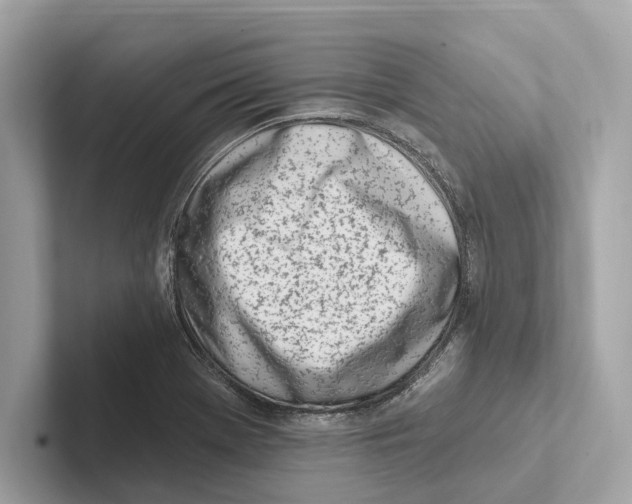 X0000100911369200807220942