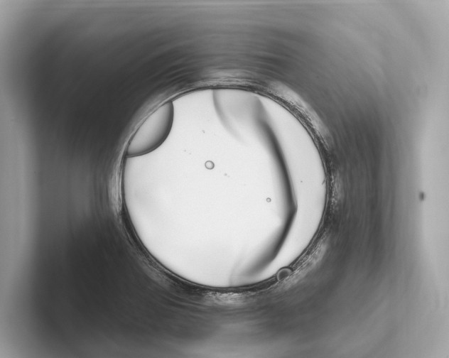 X0000100911370200807220942