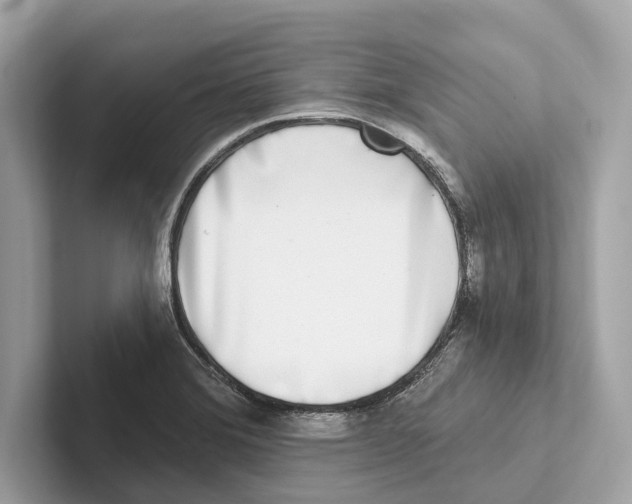 X0000100911372200807220942