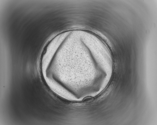 X0000100911373200807220942