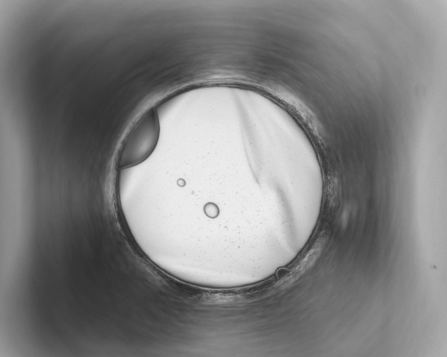 X0000100911374200807220942