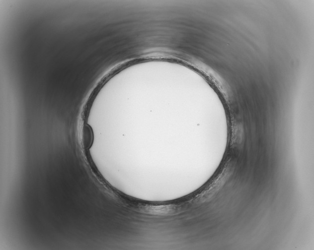 X0000100911376200807220942