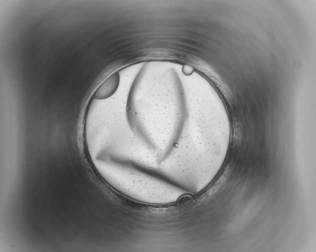 X0000100911378200807220942