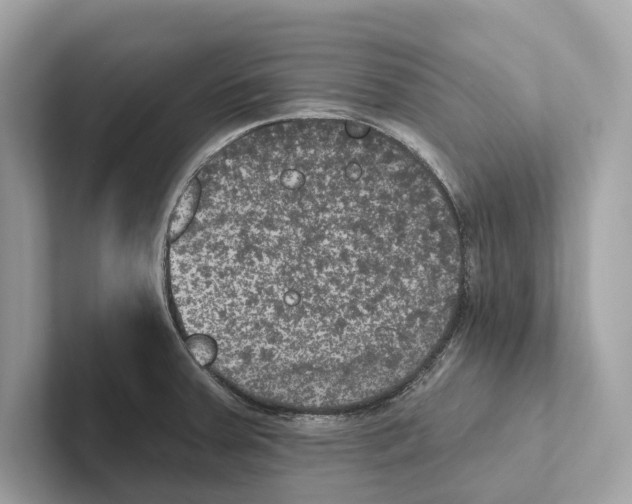 X0000100911379200807220942