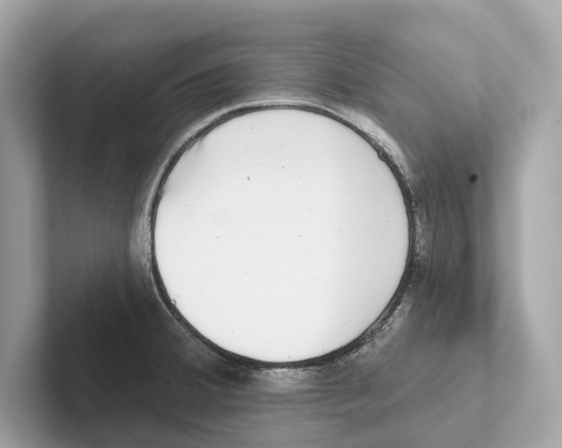 X0000100911380200807220942