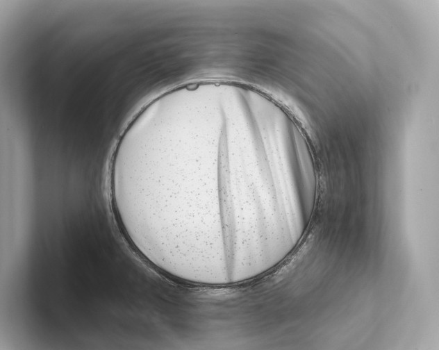 X0000100911382200807220941