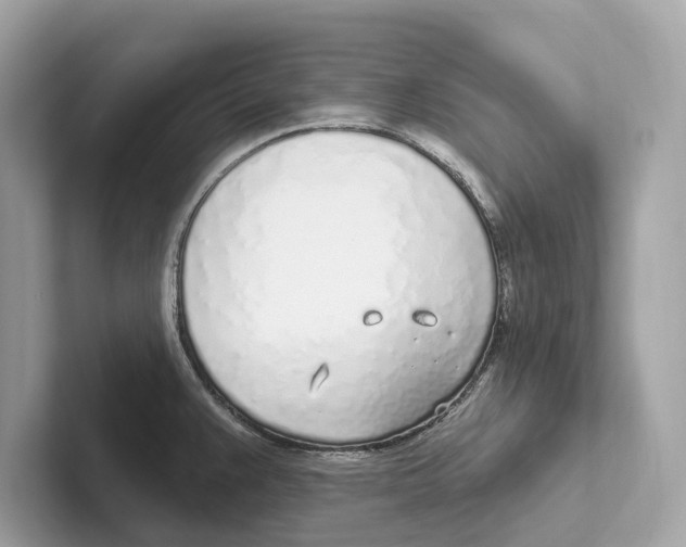 X0000100911383200807220941