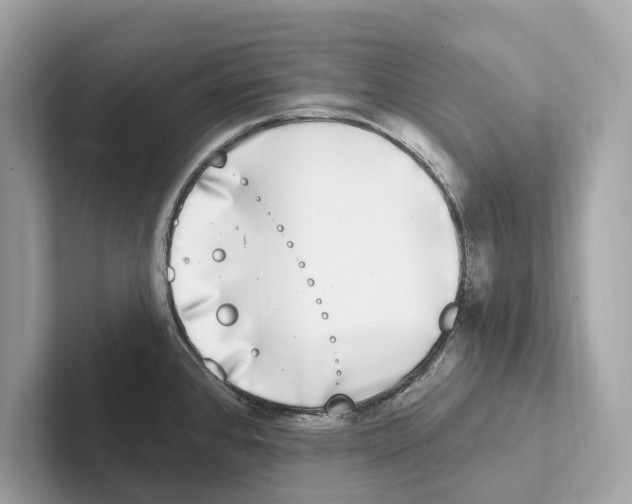 X0000100911384200807220941