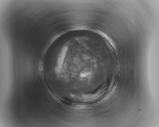 X0000100911385200807220941