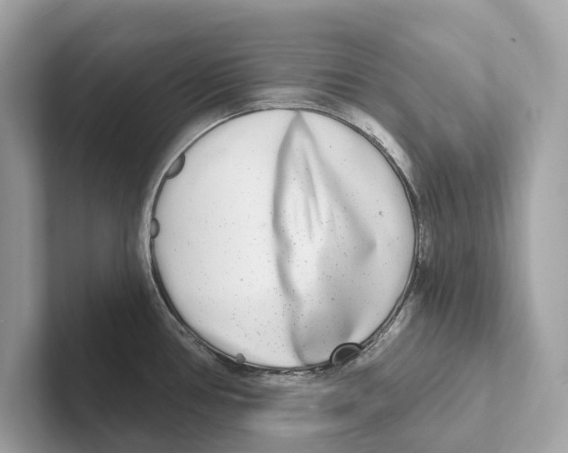 X0000100911386200807220941