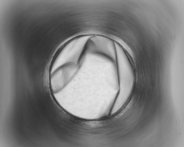 X0000100911388200807220941