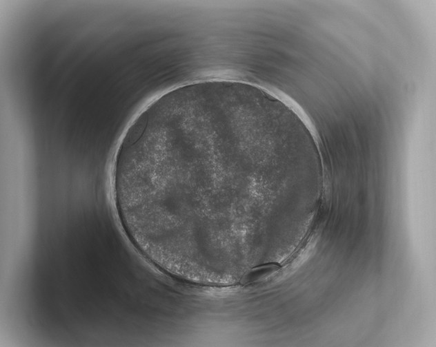 X0000100911389200807220941