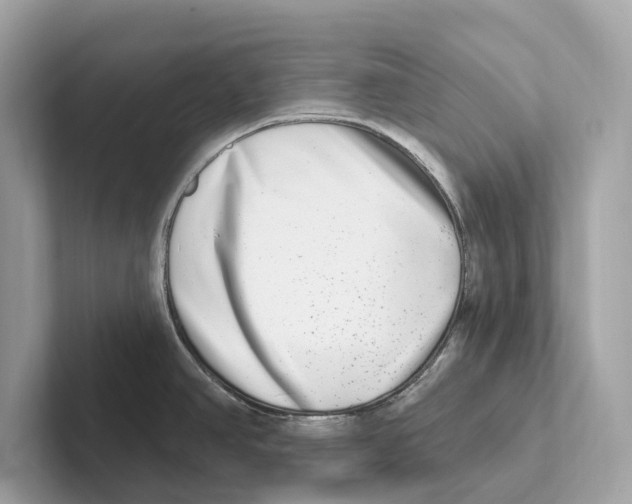 X0000100911390200807220941