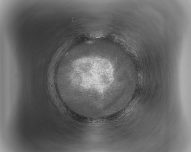 X0000100911393200807220941